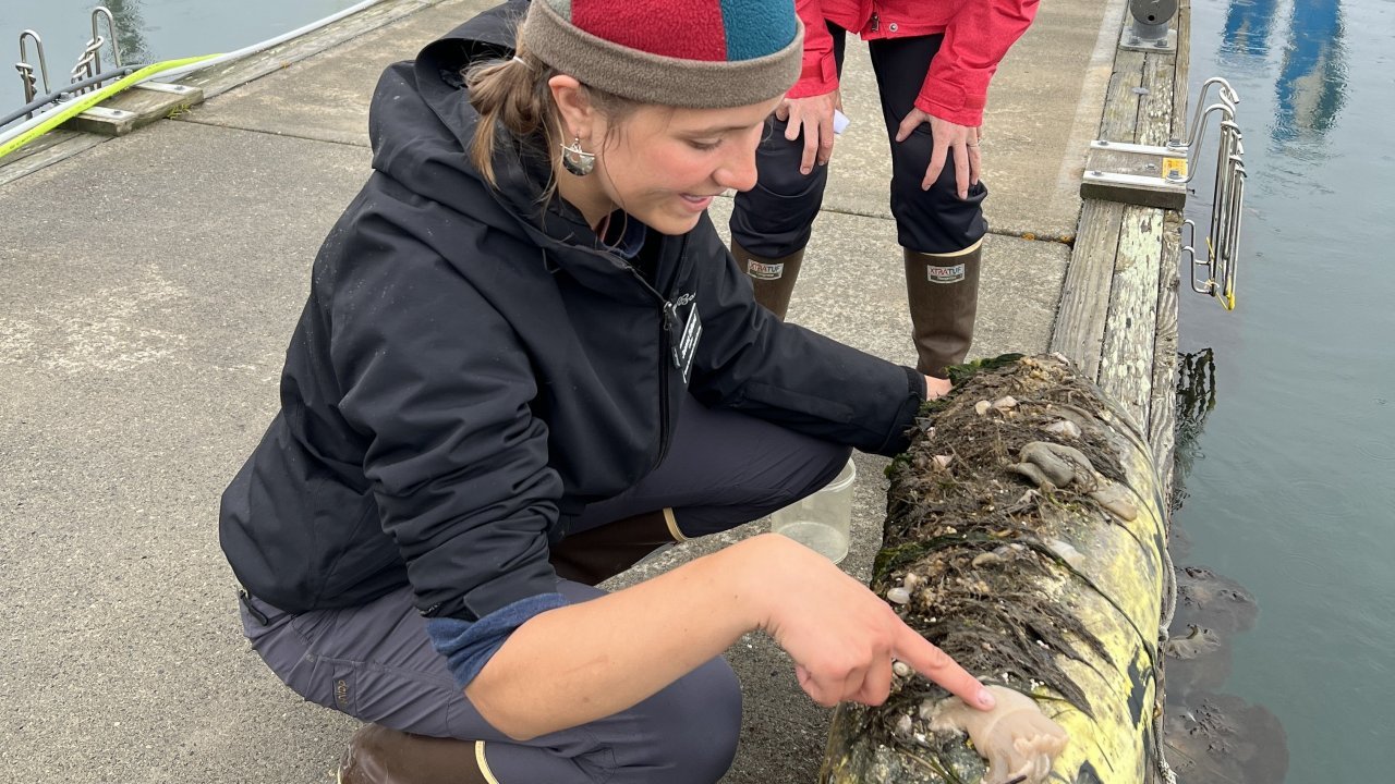 A naturalist breaks down the creatures you see on a buoy.