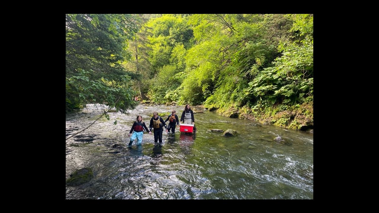 Campers and staff make their way through China Poot Creek to dipnet for salmon.