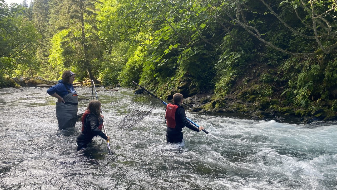 Campers dipnet for salmon at China Poot creek.