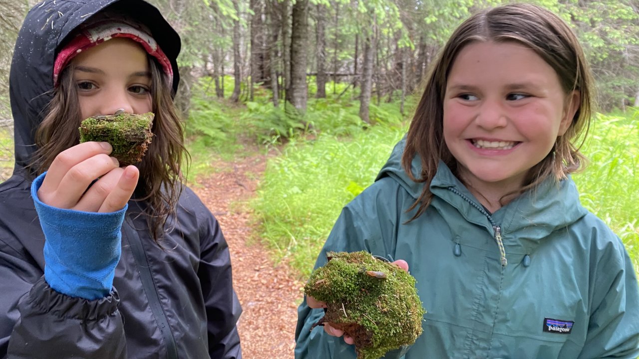 Campers explore moss at the Wynn Nature Center.
