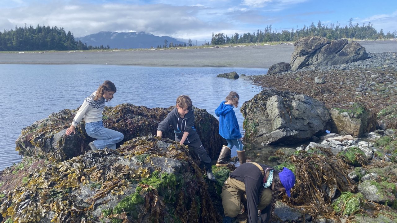 Tidepooling at Otter Rock near the Peterson Bay Field Station.