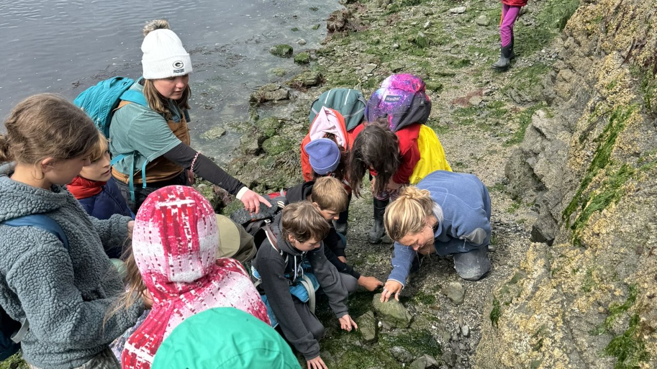 Educators giving a lesson in the intertidal zone in China Poot Bay.