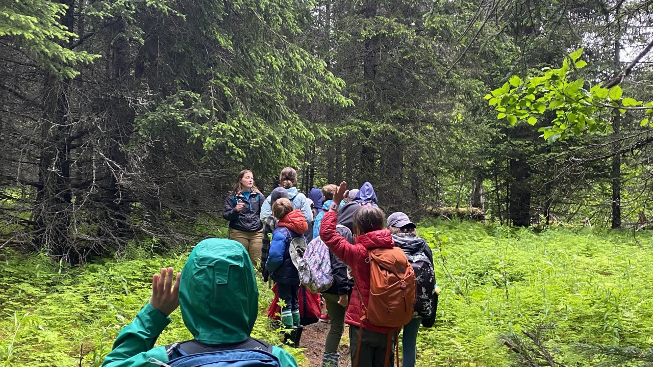Campers learning about the boreal forest at the Wynn Nature Center.