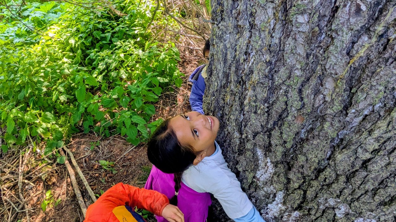 Campers learning about trees.