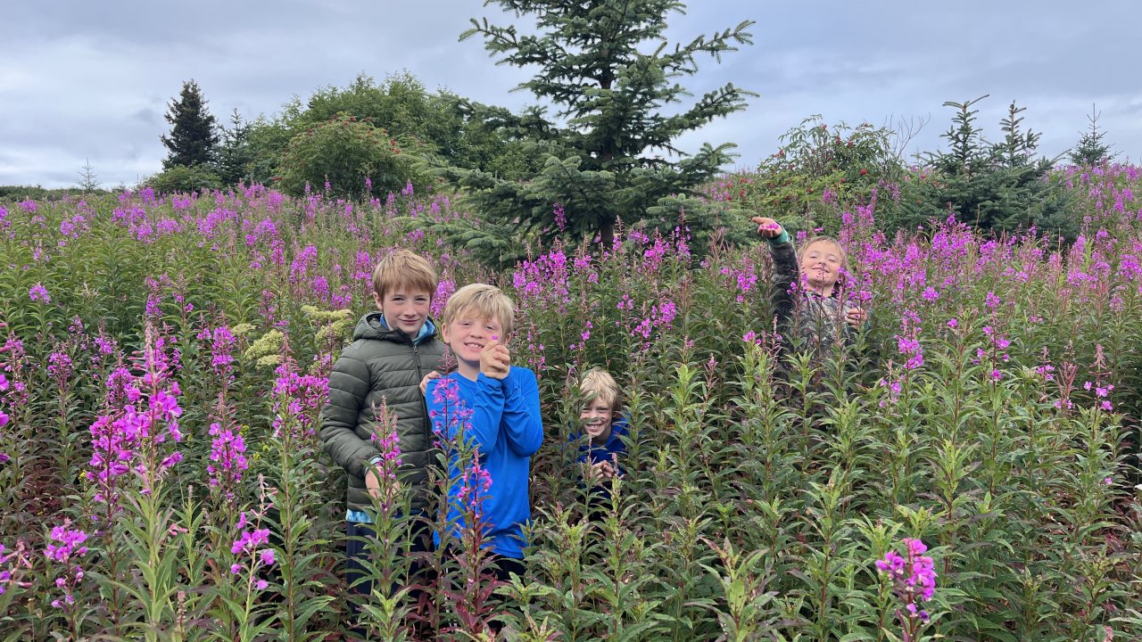 Campers enjoying summer wildflowers.