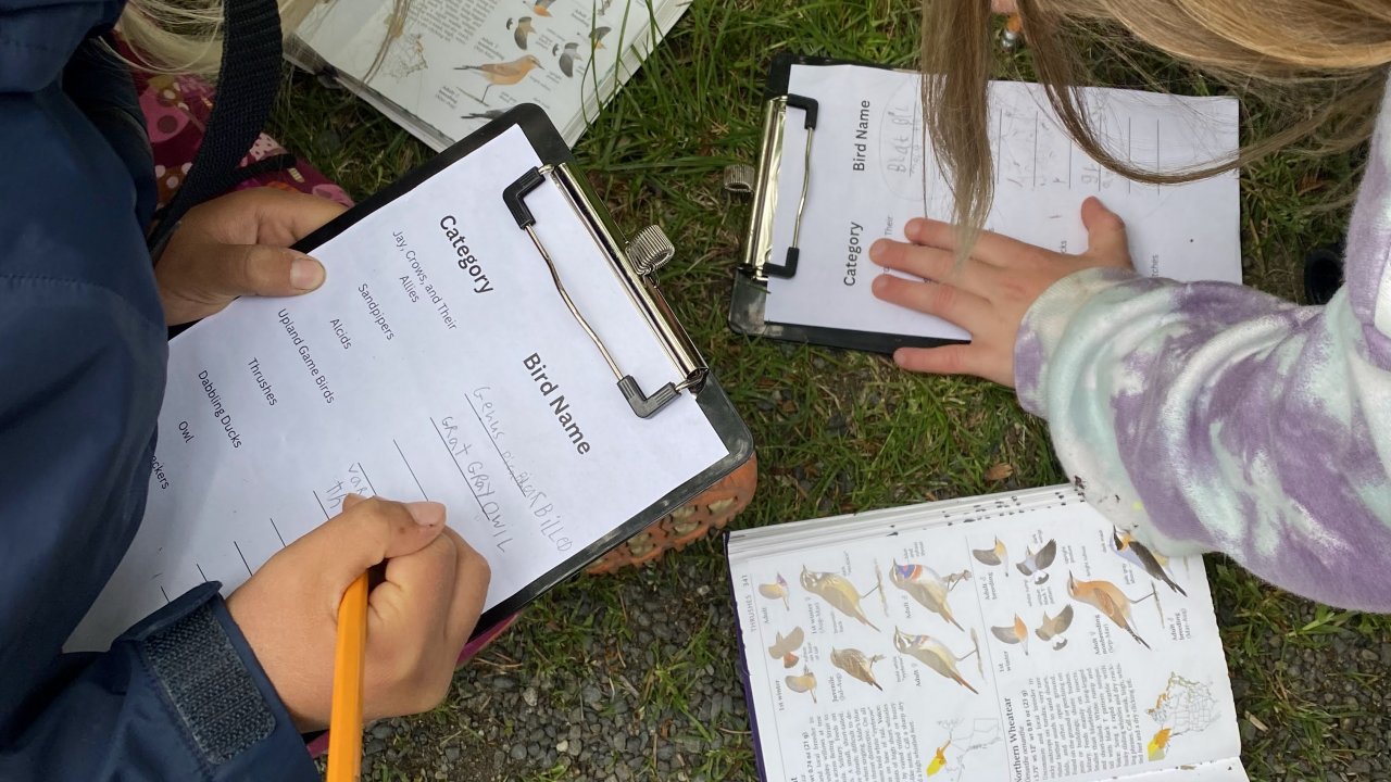 Campers learn about birds.