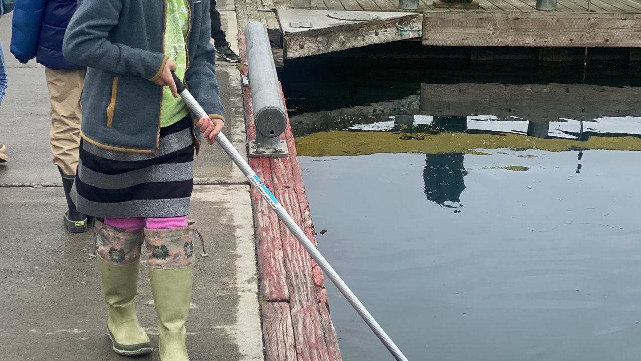 Campers learn how to conduct a plankton tow at the Harbor.