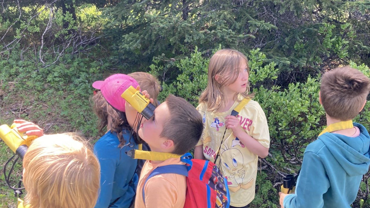 BioKids go birding at the Wynn Nature Center.