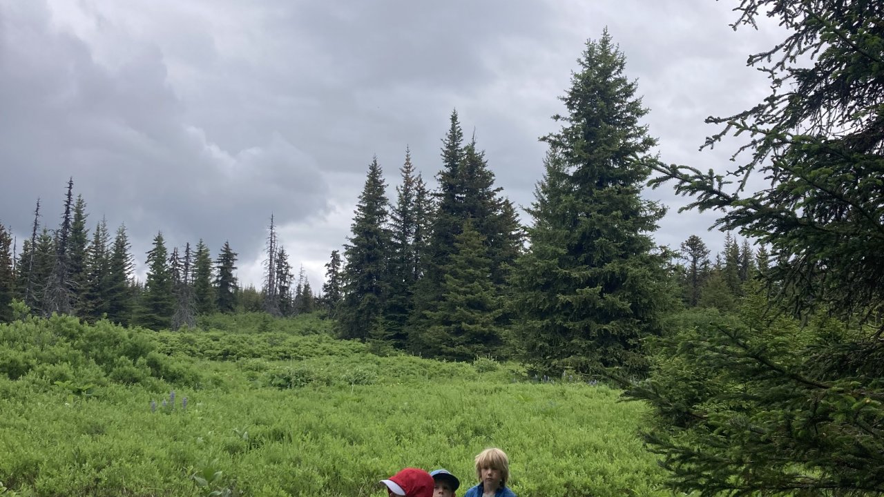 BioKids explore the boardwalks of the Wynn Nature Center
