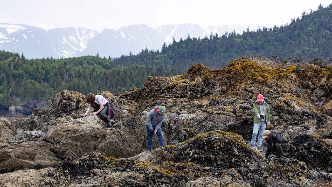 Guests explore the rocky tidepools of Otter Rock. Photo by Joey Hausler.