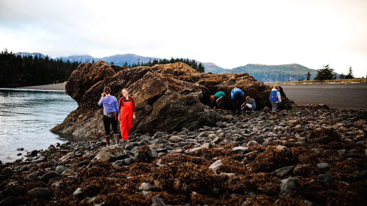 Tidepooling at Otter Rock. Photo by Wilder Arts Photography.