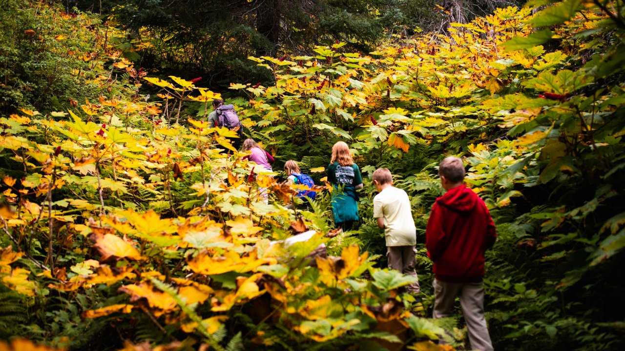 Exploring the flora of the Field Station. Photo by Wilder Arts Photography.
