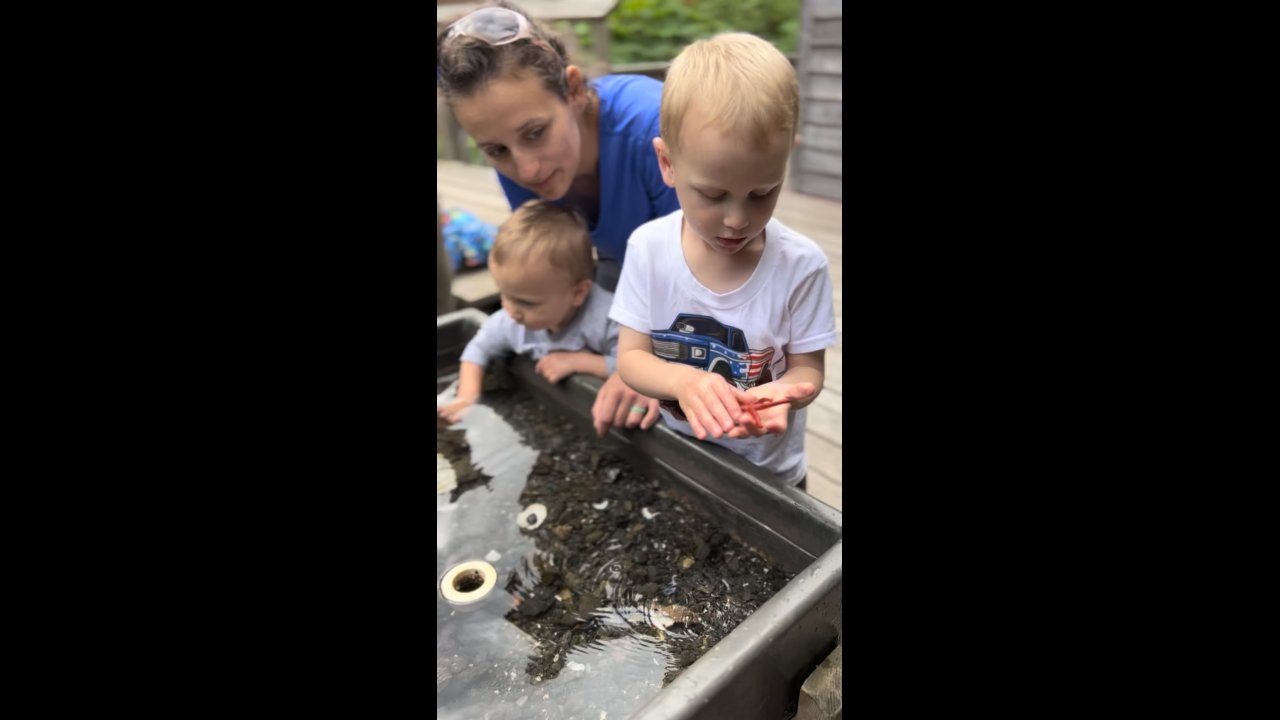 Exploring the touch tanks at the Field Station.