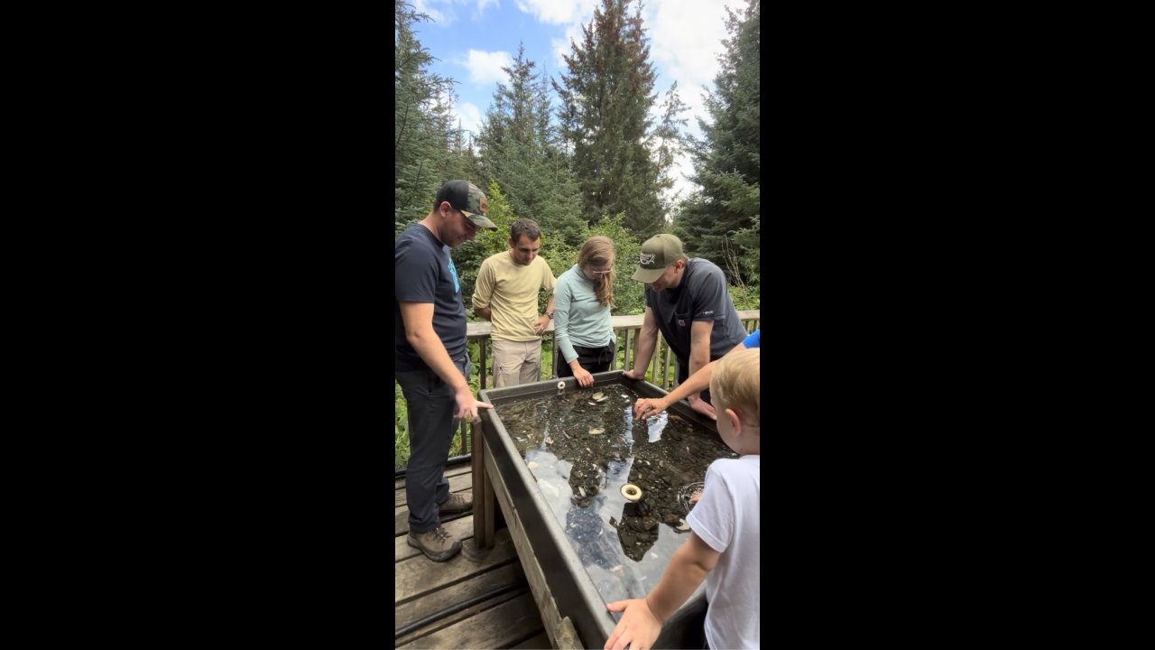 Exploring the touch tanks at the Field Station.