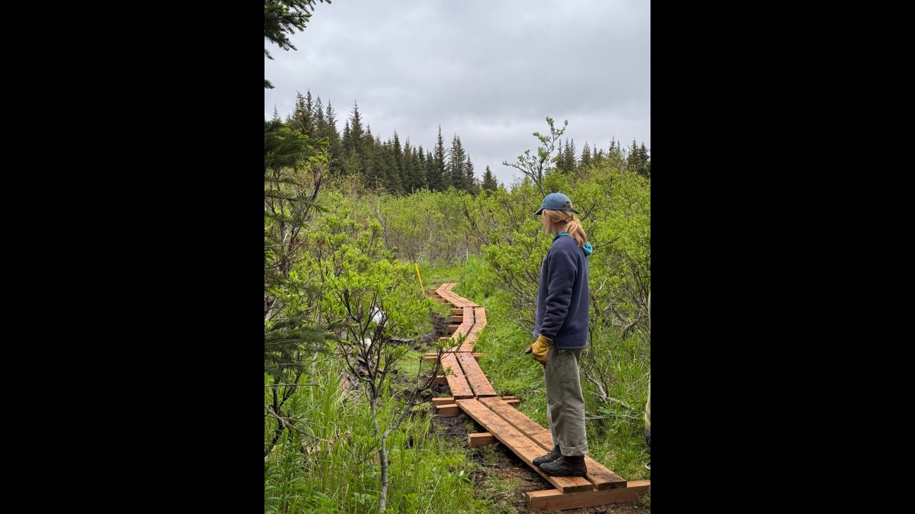 A naturalist surveys the boardwalks at Inspiration Ridge.