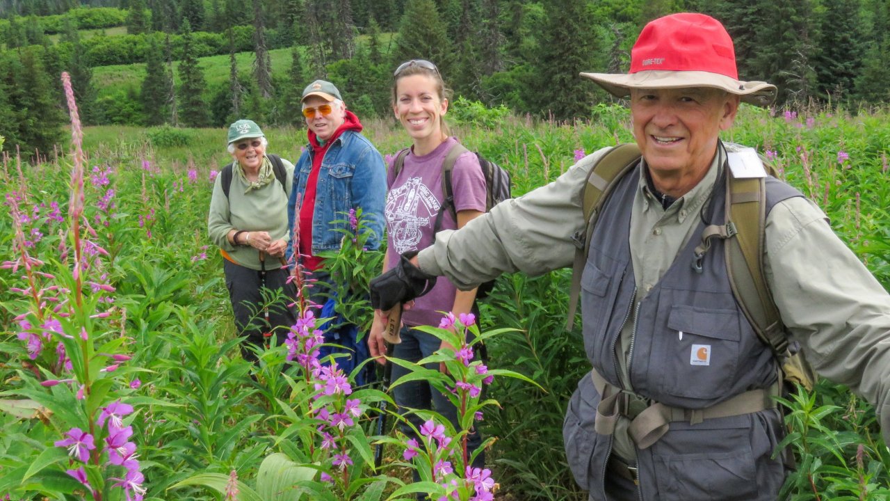 Hikers among the fireweed at IRP.