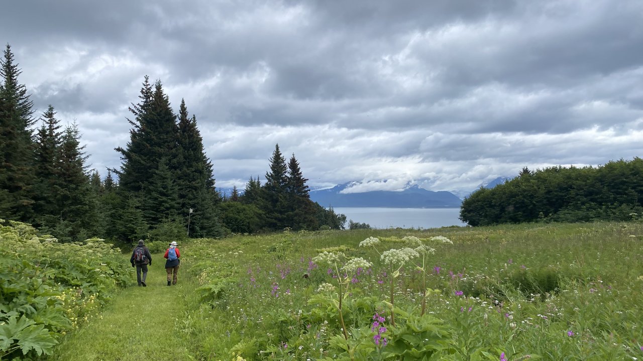 Walking through a meadow at Inspiration Ridge.
