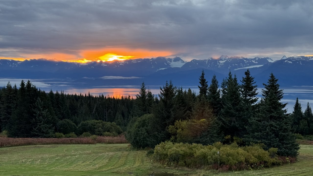 Sunrise over the field