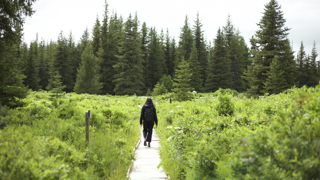 The Wynn hosts a mix of rugged trails an accessible boardwalks. Photo by Heather Eckert.