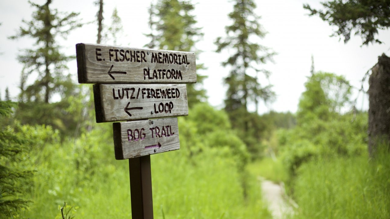 The Wynn has miles of looping trails that take you through meadows, forests, and wetlands. Photo by Heather Eckert.