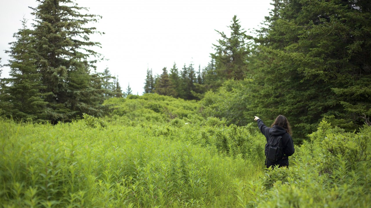 Knowledgable naturalists point out interesting ecosystem features. Photo by Heather Eckert.