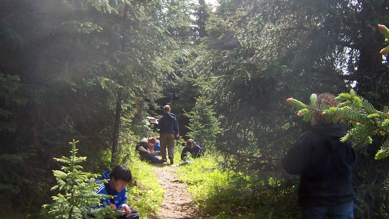 Kids nature journal in the sunny forest