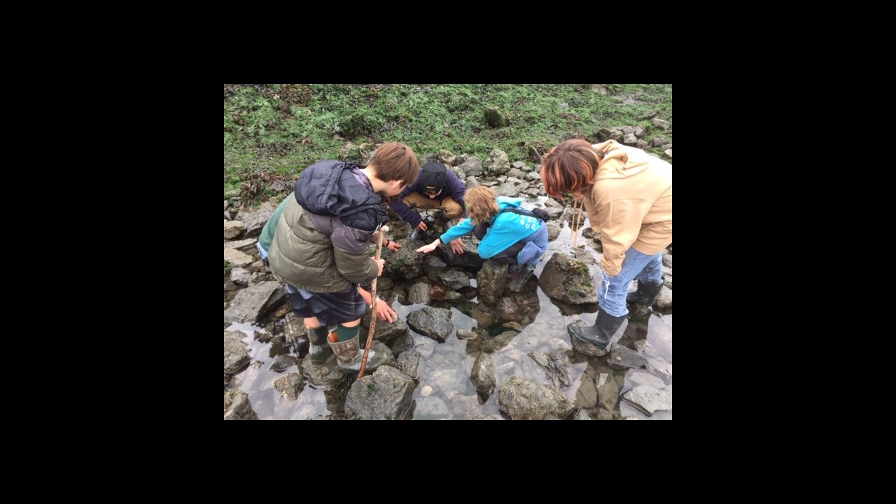 Campers explore a tidepool together