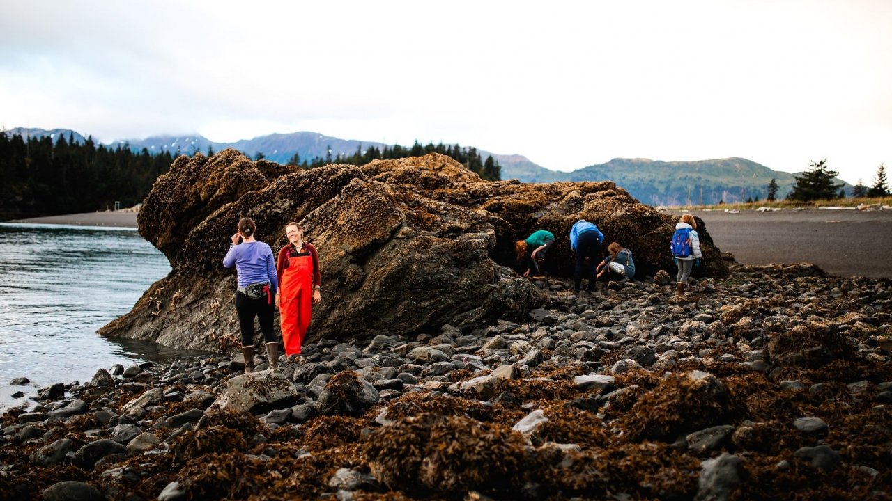 A group tidepooling at Otter Rock