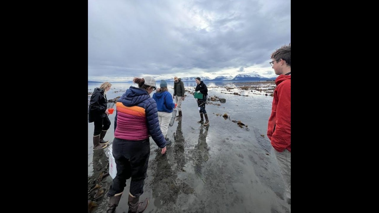 People tide pooling at Pier One beach
