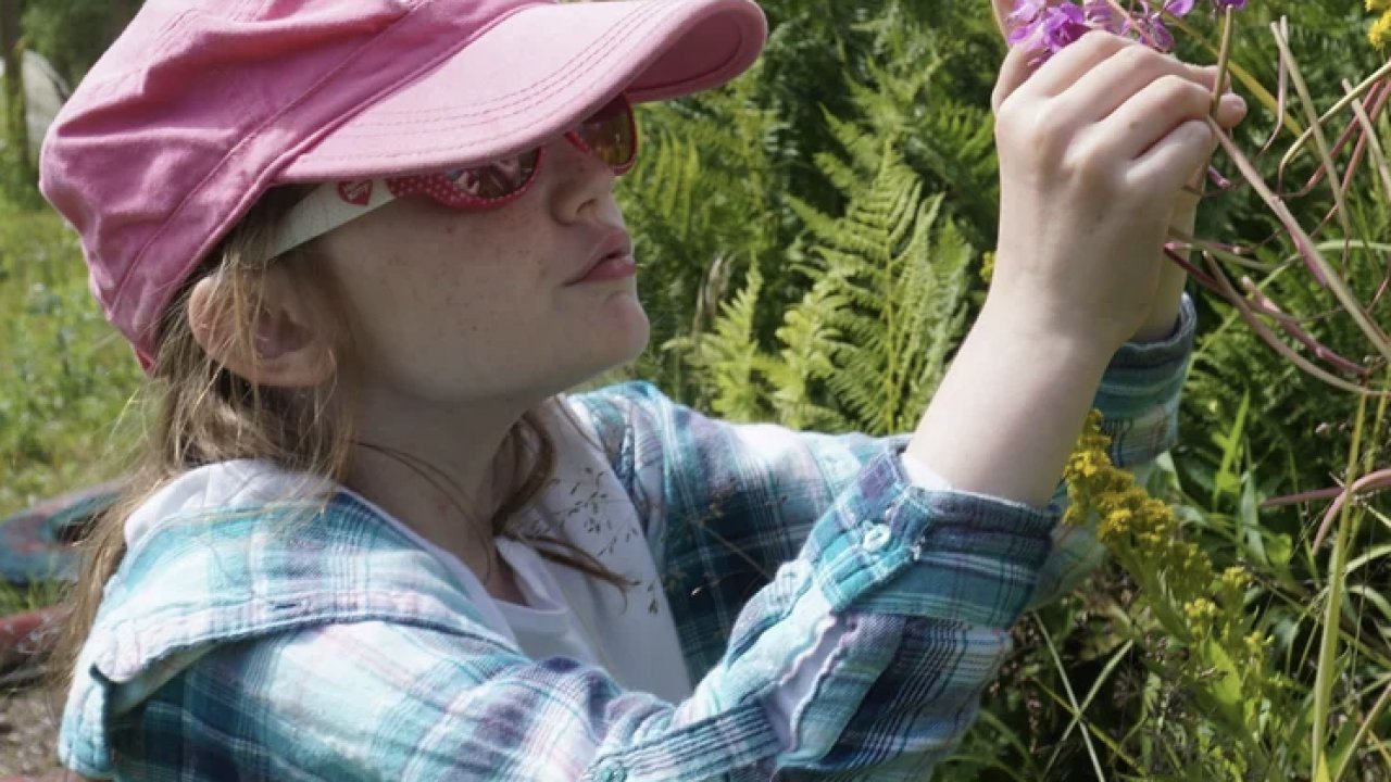 Participant exploring local flora on the ridgeline