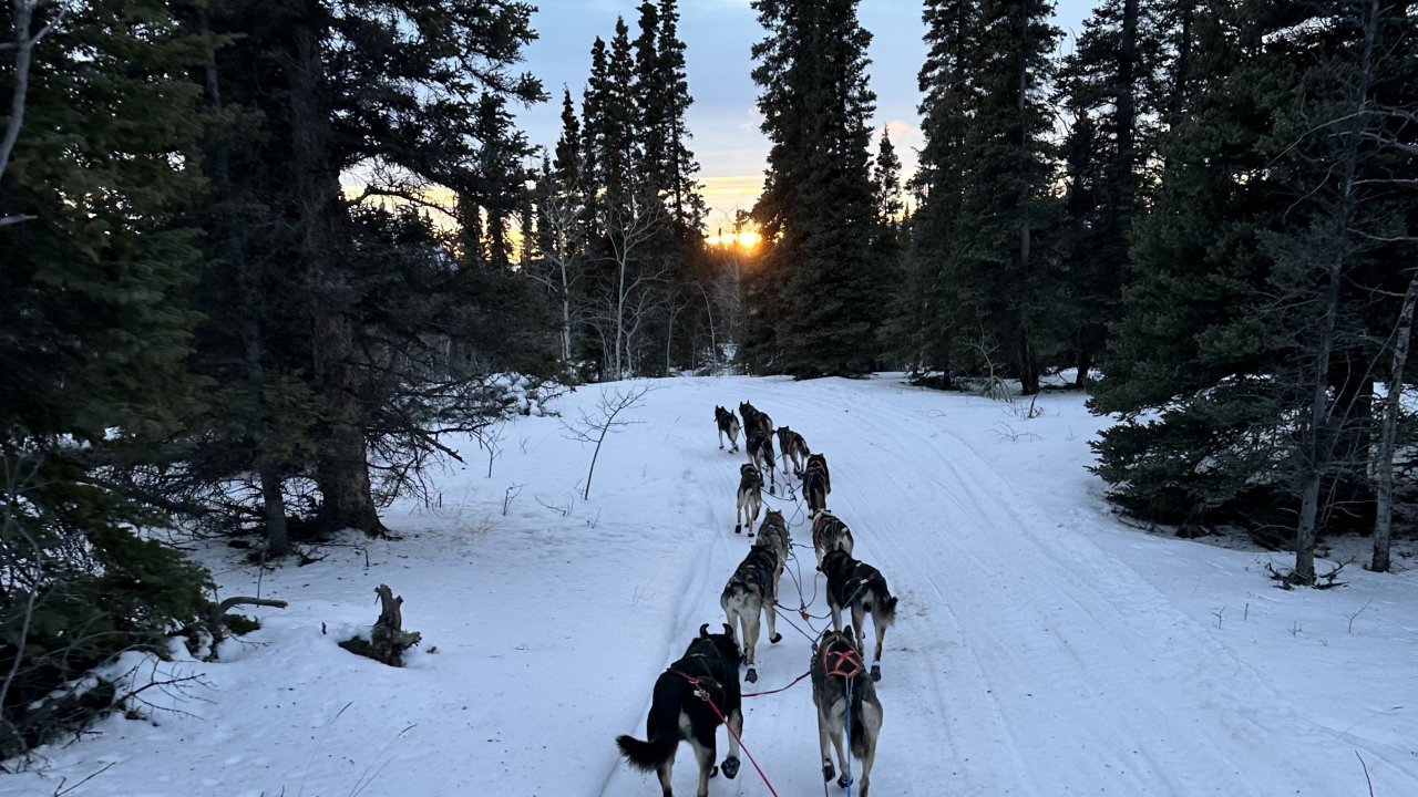 Wildlands Wayfinder: Full Day (5 hours)