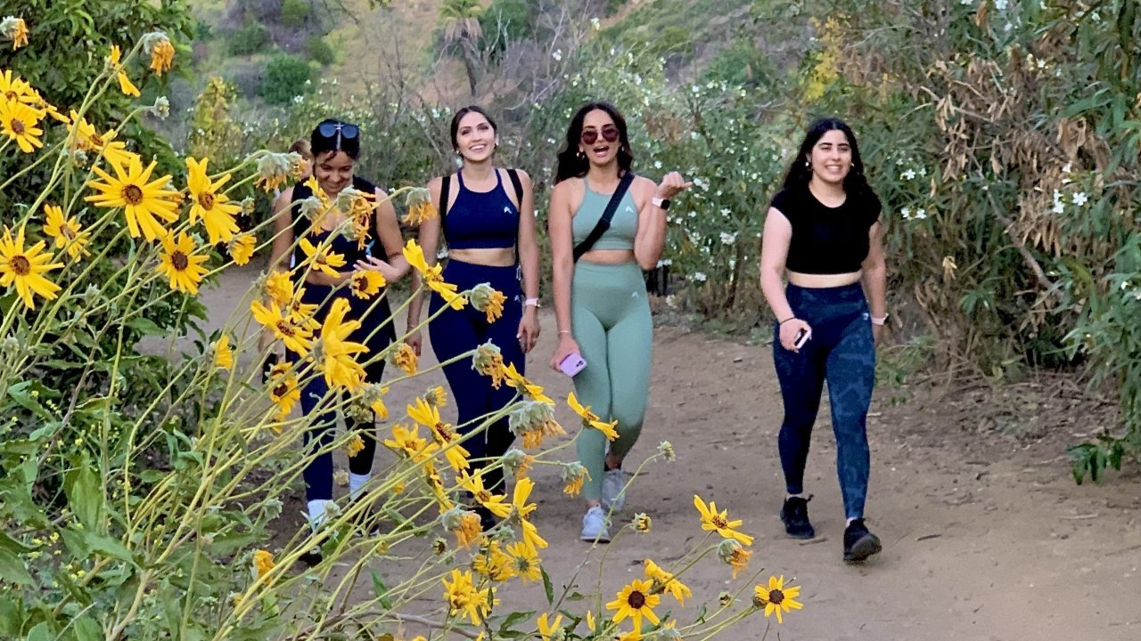 Explore the Hollywood Hills