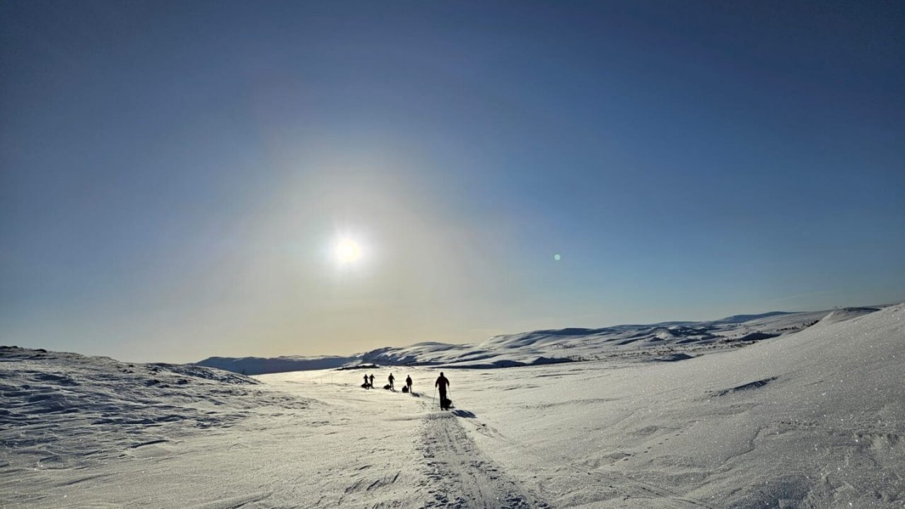 3 Countries Arctic Ski Expedition