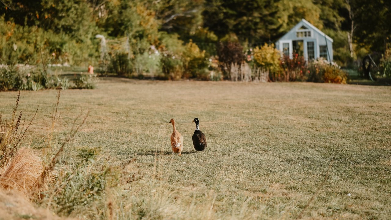Our important farm crew is always nearby for questions ;)