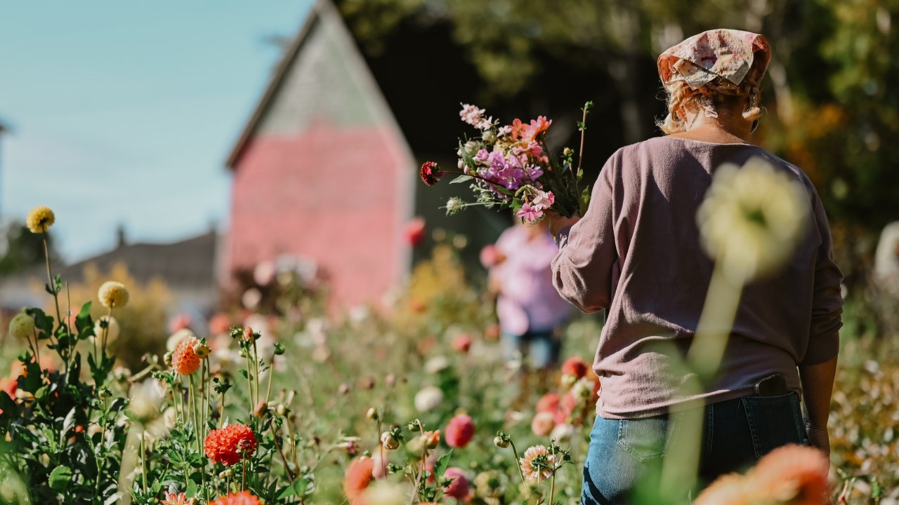 Wander the garden collecting what inspires you 