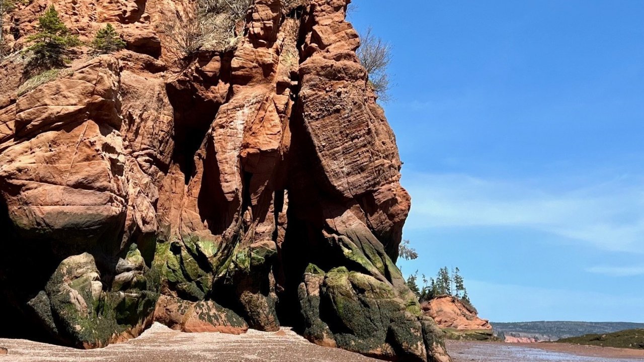 Sculpted by Wind: The Red Cliffs Walk 