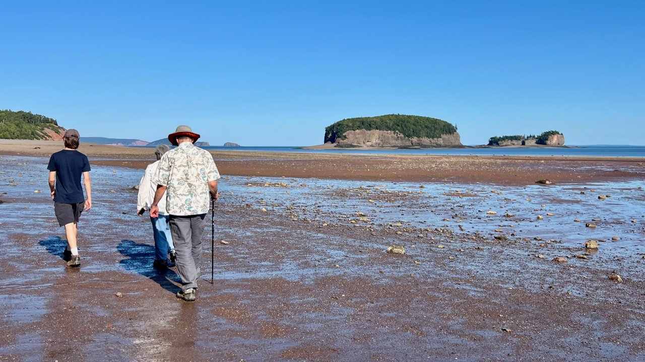 Tidal Force: Witnessing the Return of the Sea
