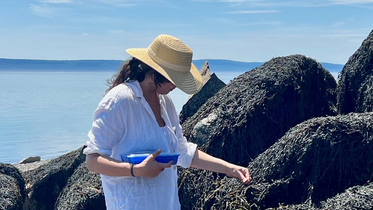 The Living Pantry: Science & Seaweed