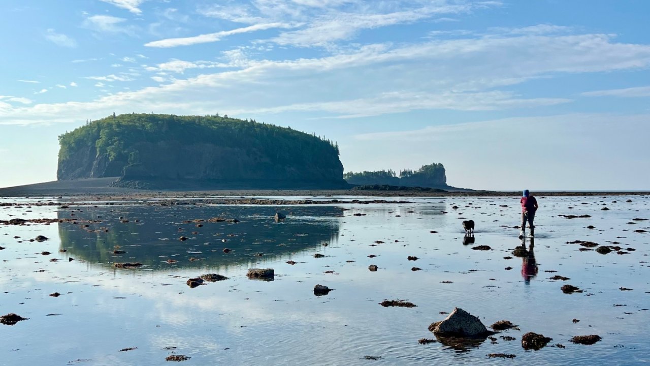 The Full Fundy: Dulse Harvest & Tidal Return