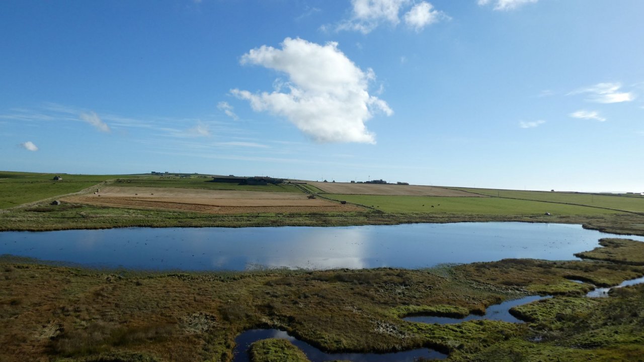 RSPB Mill Dam Reserve