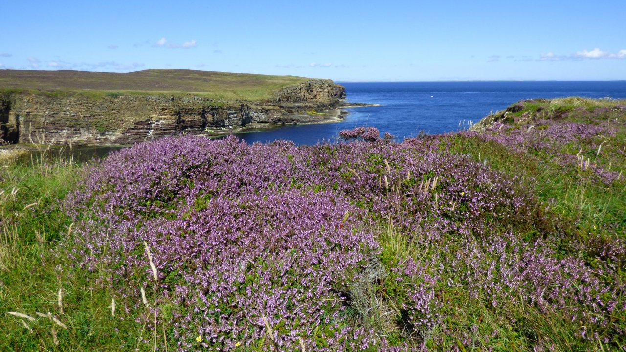 Mull Head coastline