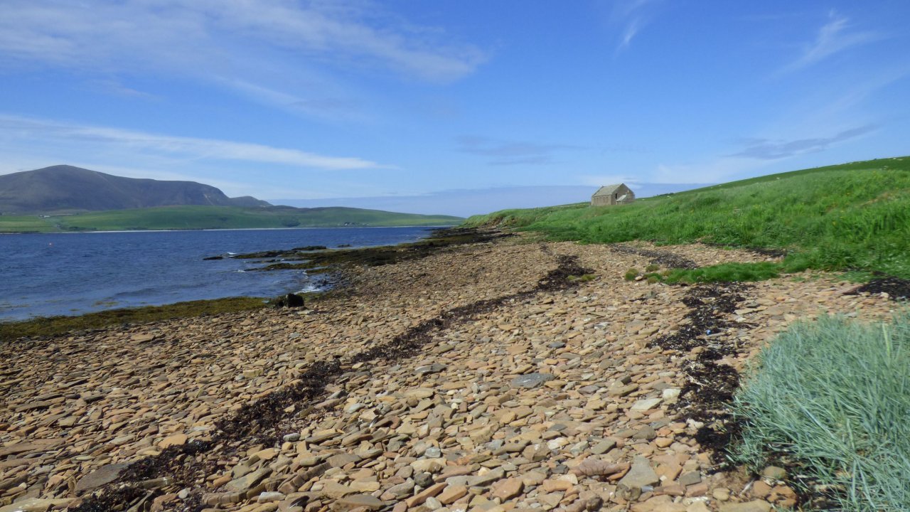 Graemsay coastline