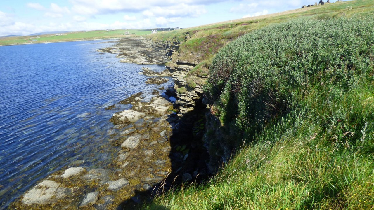 Coastal path, Flotta