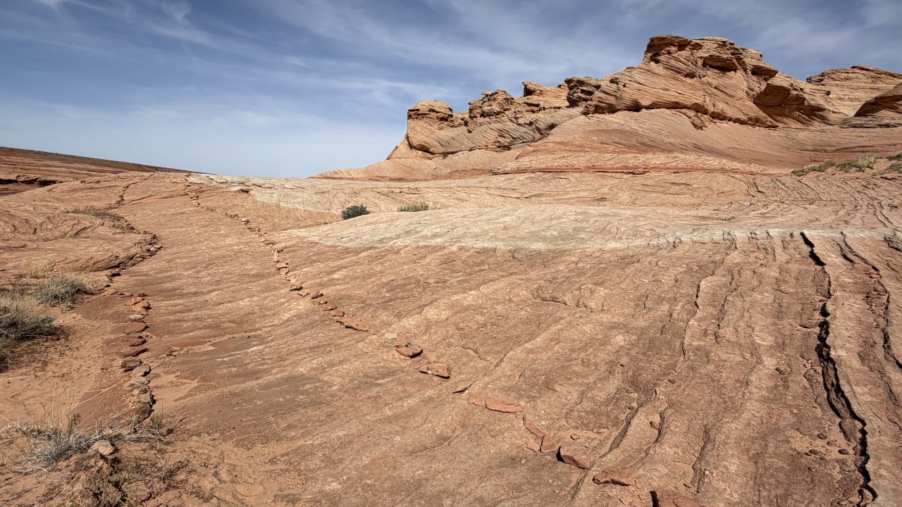 The New Wave Trail