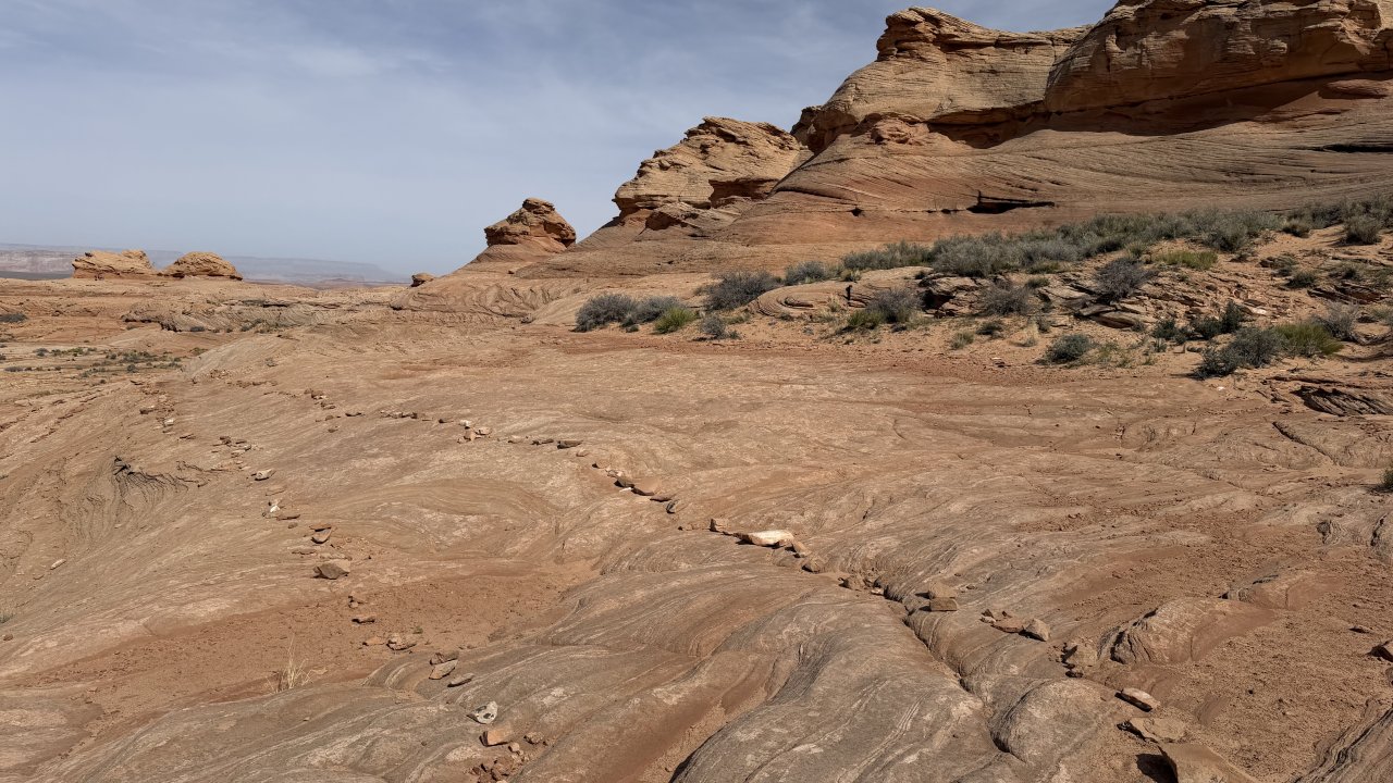 The New Wave trail