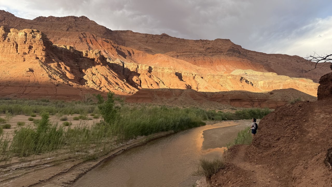 Paria Canyon Hike