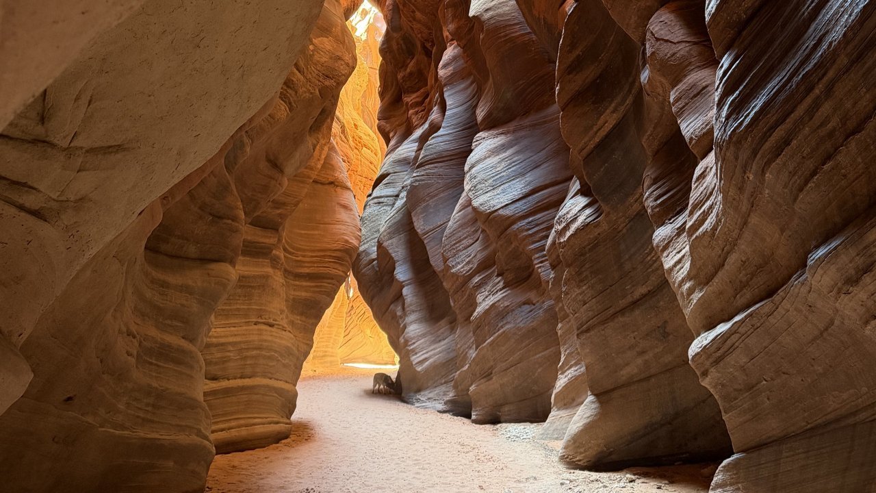 Sculpted sandstone walls