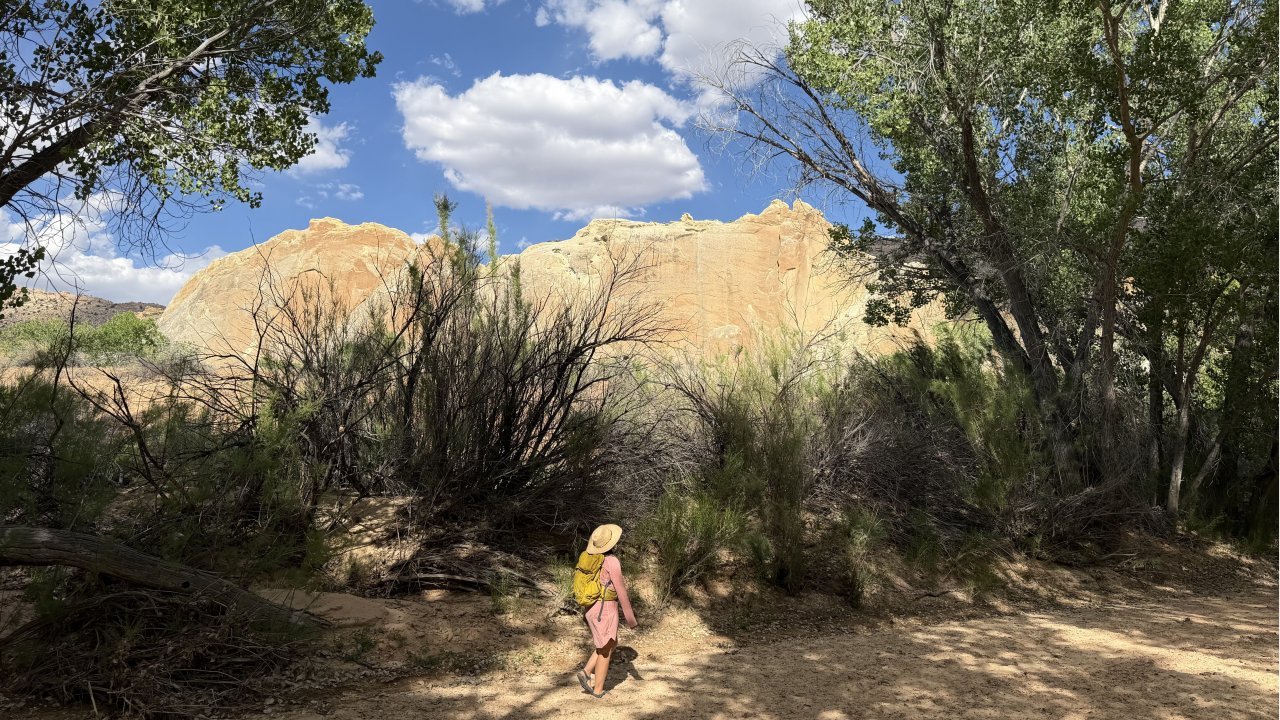 Optional hikes through the cottonwoods