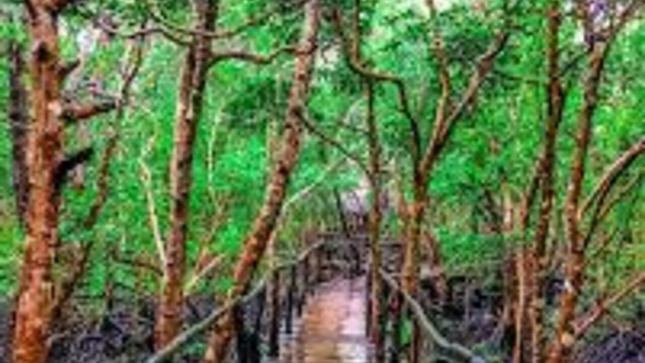 Zanzibar: Jozani & Salaam, Monkeys, Mangroves & Secret Beach