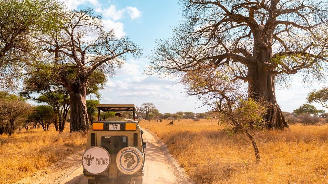 From Zanzibar: 3-Day Tanzania Safari: Tarangire & Ngorongoro